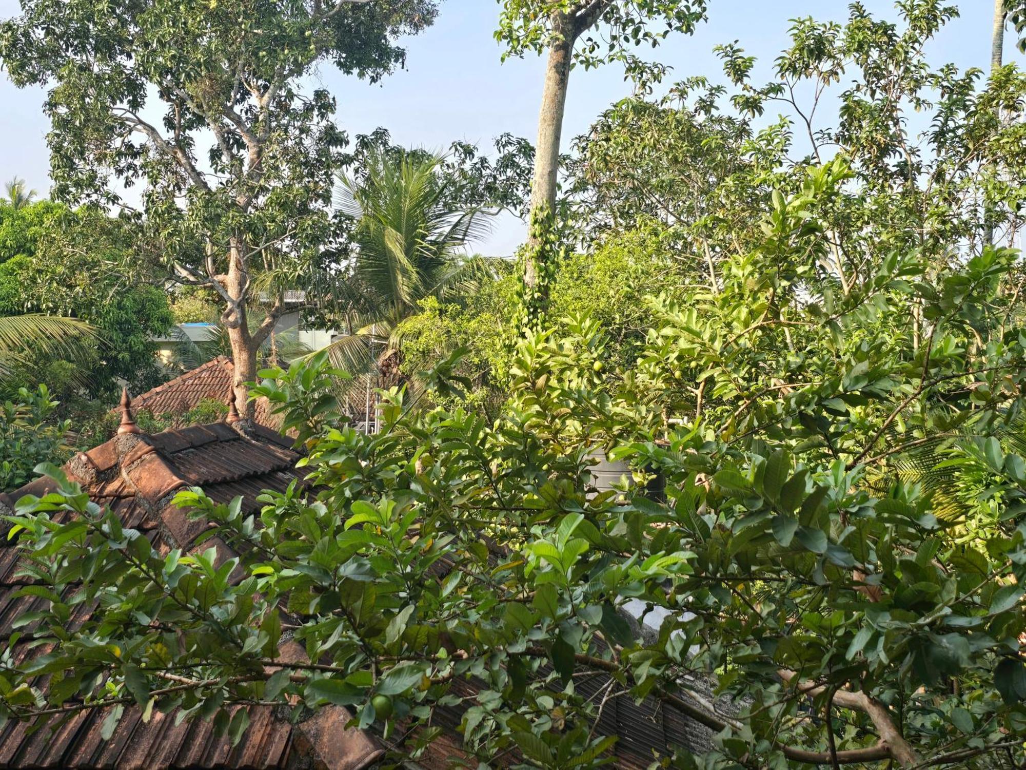 Bella Homestay Kerala Alappuzha Buitenkant foto