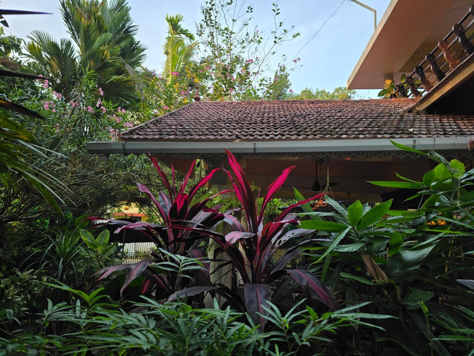 Bella Homestay Kerala Alappuzha Buitenkant foto