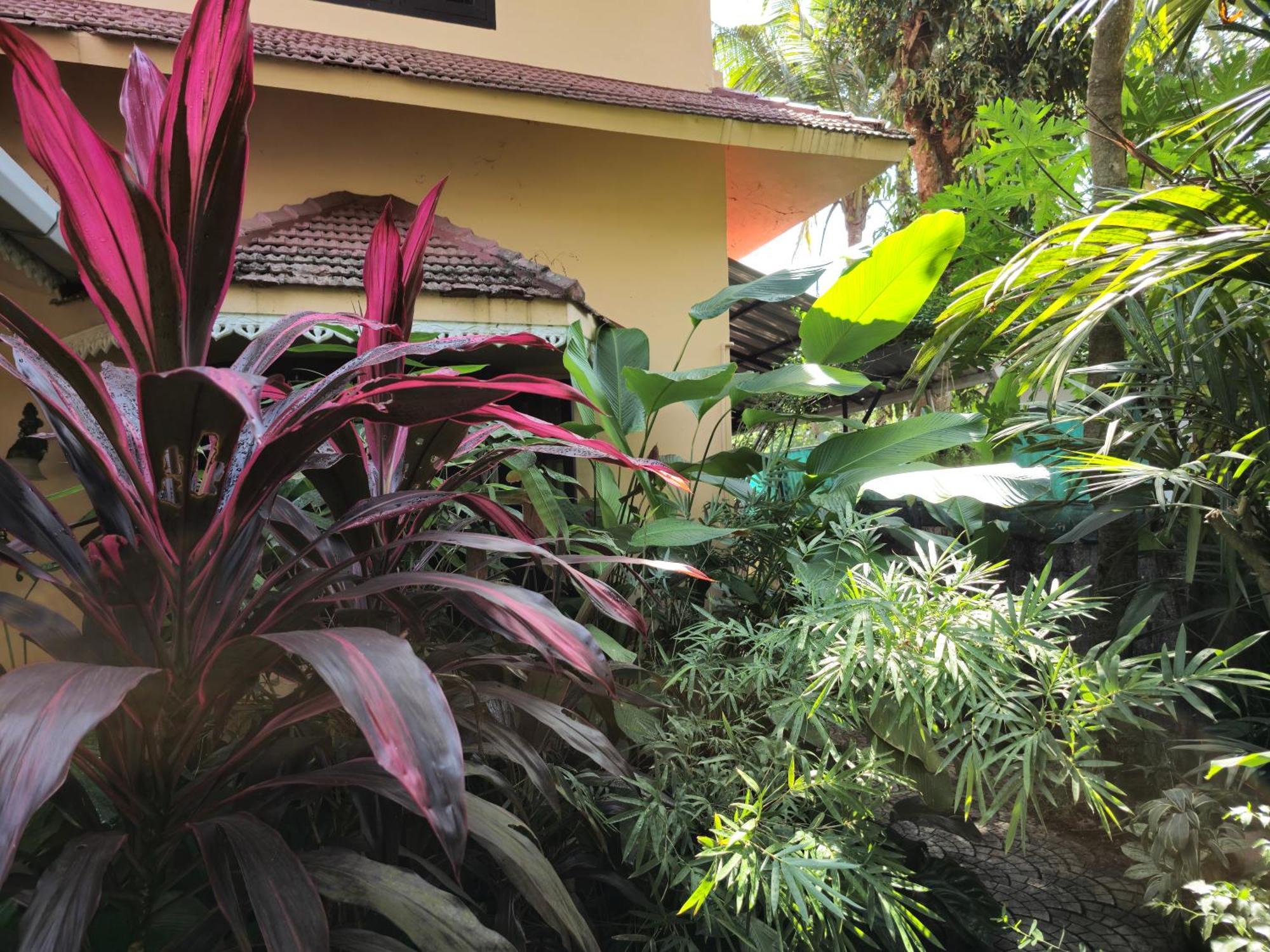 Bella Homestay Kerala Alappuzha Buitenkant foto